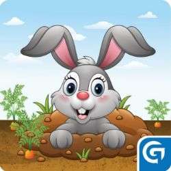 Hopper Bunny